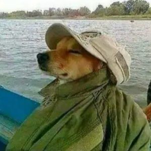 Meet your Posher, Jorge